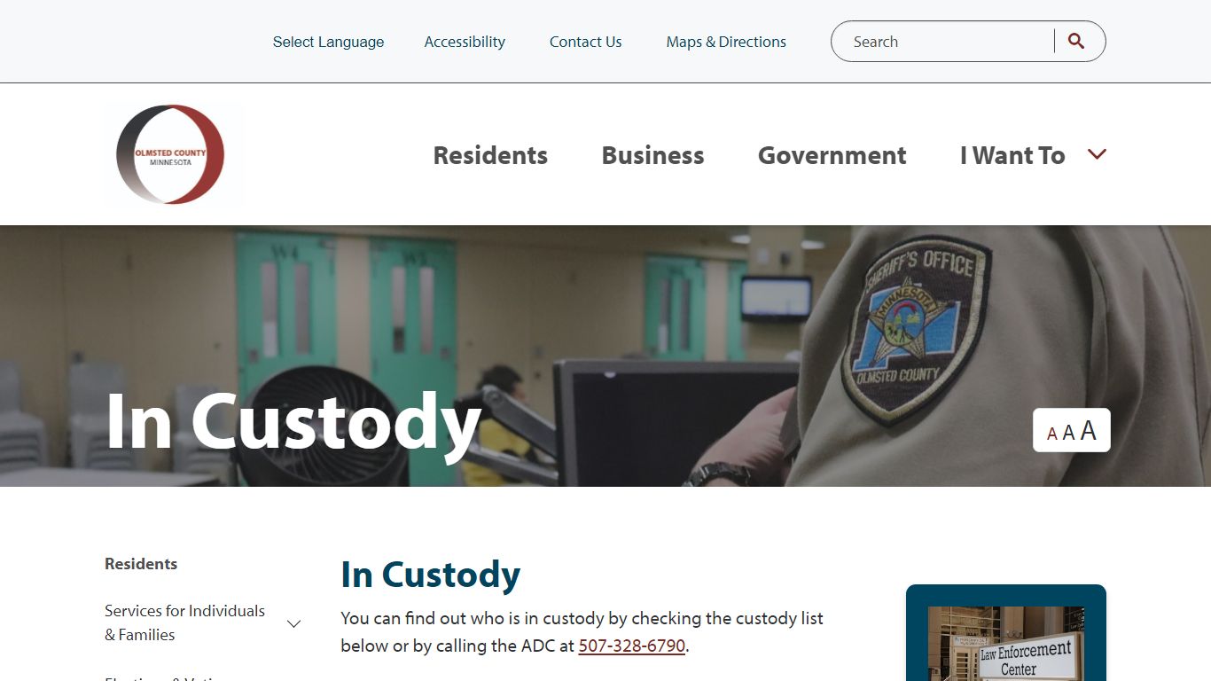 In Custody | Olmsted County, MN